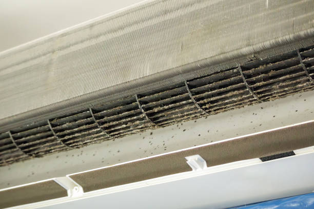 Best Air Duct Cleaning Near Me  in Lake Belvedere Estates, FL
